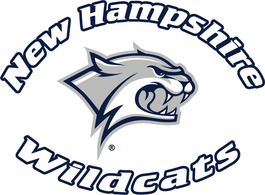 New Hampshire Wildcats 2000-2019 Wordmark Logo diy DTF decal sticker